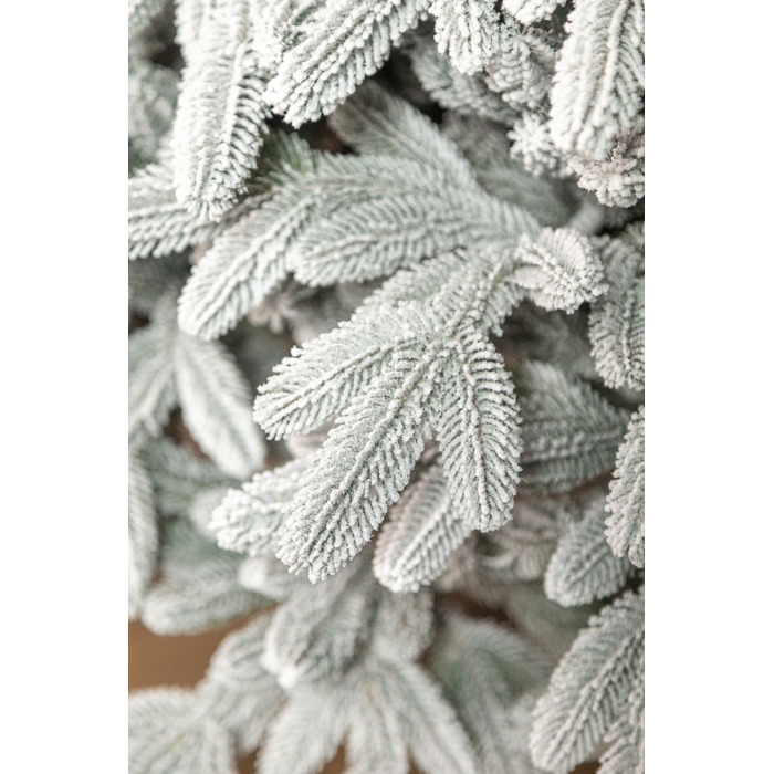 Ялинка лита 'Лапландська' ЗАСНІЖЕНА ПАРАСОЛЬКА 1,50м