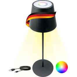 Стійка лампа Schwaiger OTL200 з нічним світлом LED, RGB, акумулятор, диммування, IP44, чорний (для дому та саду)