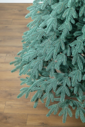 Ялинка лита 'Лапландська' ПАРАСОЛЬКА БЛАКИТНА 3,00м