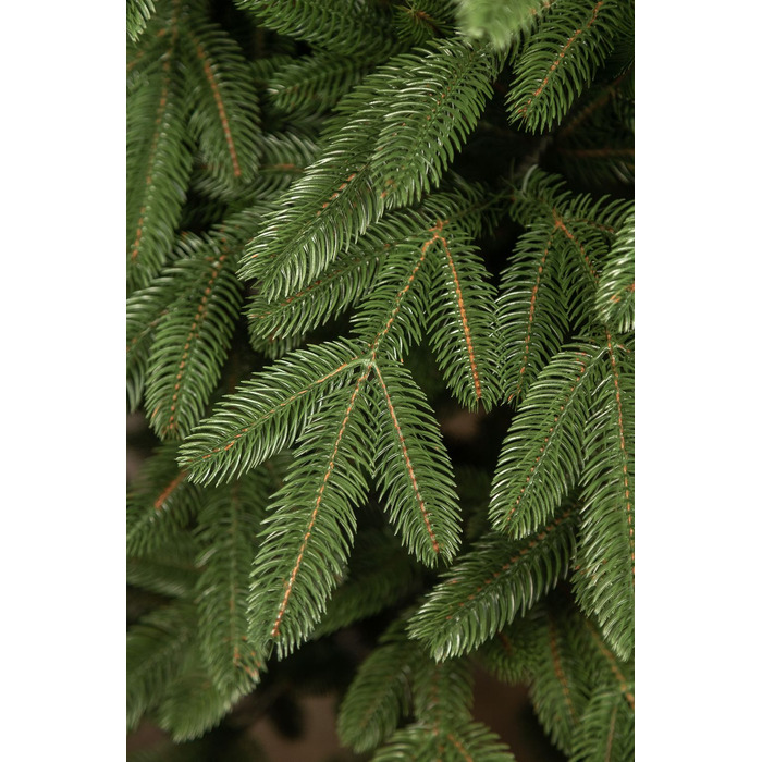 Ялинка лита 'Лапландська' ПАРАСОЛЬКА ЗЕЛЕНА 3,00м