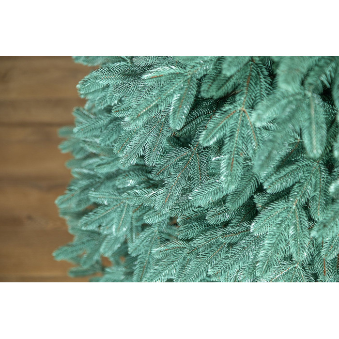 Ялинка лита 'Лапландська' ПАРАСОЛЬКА БЛАКИТНА 3,00м