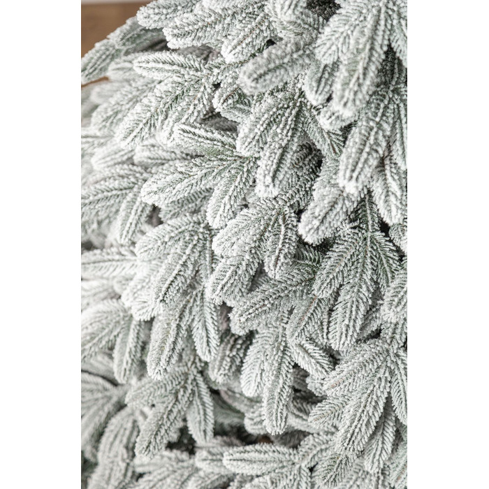 Ялинка лита 'Лапландська' ЗАСНІЖЕНА 2,50м