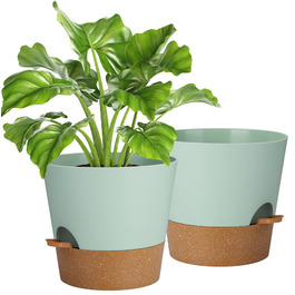 Набір з 2 горщиків для квітів 25.4 см, пластик, з системою поливу, для дому, балкону, саду, сукулентів, кактусів (зелений, коричневий)