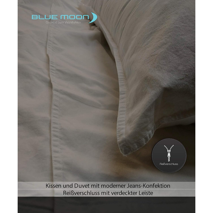 Постільна білизна BLUE MOON Bio Renforce з сучасного льону з ефектом вимитого каменю - чохли на ковдри і подушки-100 органічна бавовна, м'який і дихаючий, легкий у догляді - 135x200 80x80 см - (сірий, 200x200)