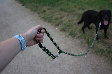 Повідець для собак Activity4Dogs, плетений з 3-ма регульованими повідцями довжиною 2 м для великих собак німецького виробництва (з 2-ма 3-ма регульованими повідцями, яблучно-зелений-ялицево-зелений-чорно-білий)