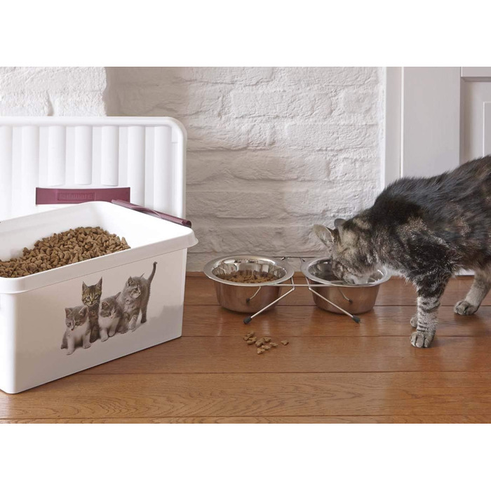 Коробка для прикрас для домашніх тварин CURVER 15 л, пластикова, прозора, 1,1 х 1,1 см, 75 шт.
