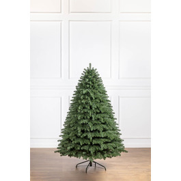 Ялинка лита 'Версальська' Зелена 2,10м