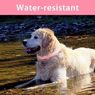 Нашийник для собак, що світиться перезаряджається, нашийник для собак, що світиться, водонепроникний регульований миготливий світлодіодний нашийник для малих середніх великих собак, видимість в темряві, - M (L(48-60см/19-23.6inch), рожевий)PcEoTllar Наший