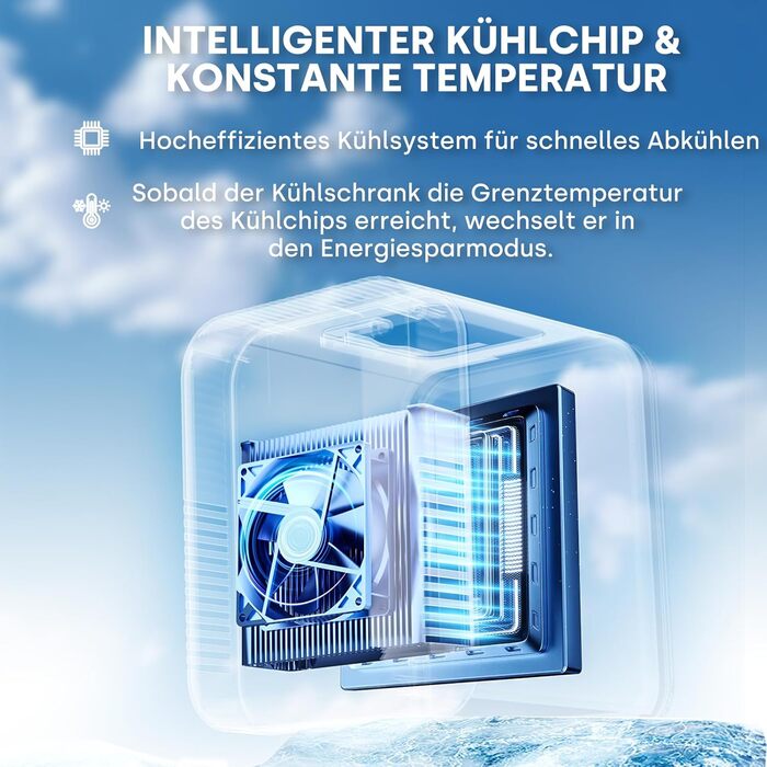 Mini холодильник Enventor 10L: портативний, з подвійним охолодженням, 12V/220V, для авто, спальні, офісу, чорний