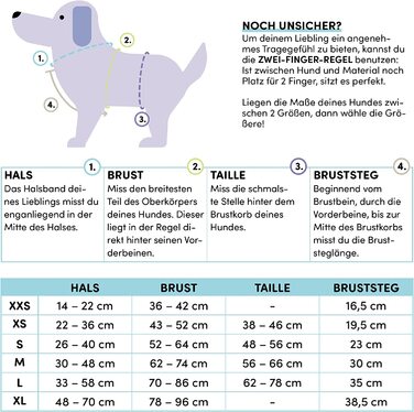 Шлейка для собак STUCH-регульована нейлонова шлейка з м'якою підкладкою - для маленьких, маленьких і великих собак, Колір Розмір (бежевий, XS)