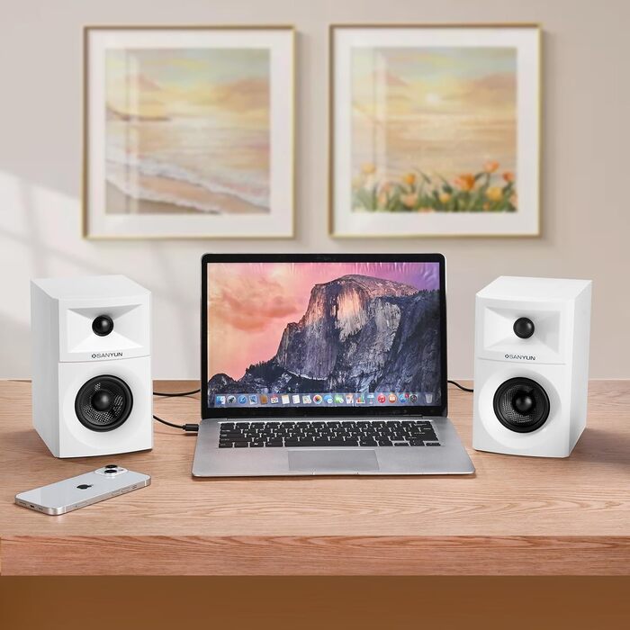 Sanyun SW203: Акустична система 60W, 4-Way, DSP, 3D звук, 3