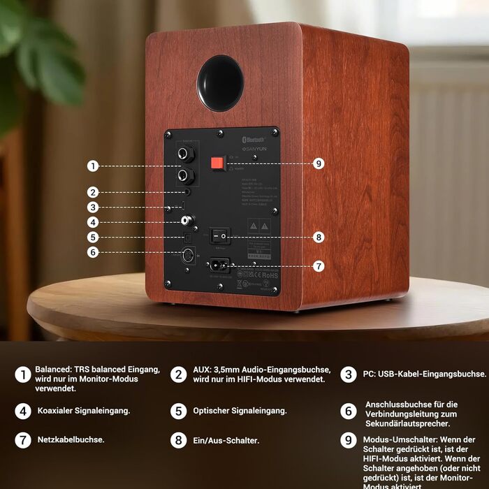 Акустичні колонки Sanyun SW208 3' Bluetooth 5.0 - 60W, 2.0, для ПК, з підсвічуванням, 3D-звук, USB DAC