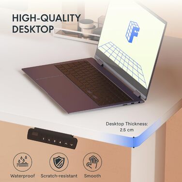 Регульований за висотою стіл FlexiSpot з 2 моторами, стільниця 25 мм, ергономічний офісний стіл - Акорн, чорна ніжка (біла стільниця + сіре підстав'я, 120 x 80 см)