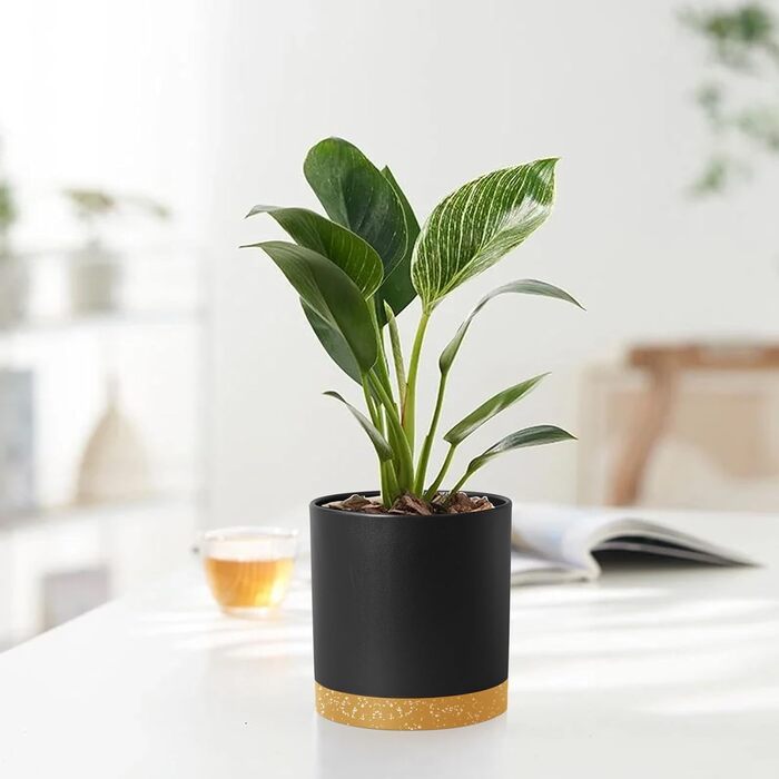 Набір горщиків для квітів 5 шт. з підставками, 17.8/15.2/14/12.7/10.2 см, пластик, для дому та балкону, чорний з коричневою підставкою