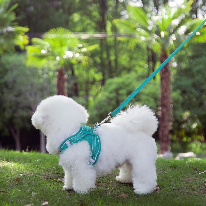 Шлейка для собак маленькі собаки із зеленою підкладкою, Шлейка для цуценят, Шлейка для собак маленькі собаки XS зелений XS