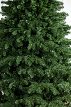 Ялинка лита 'Версальська' Зелена 2,50м