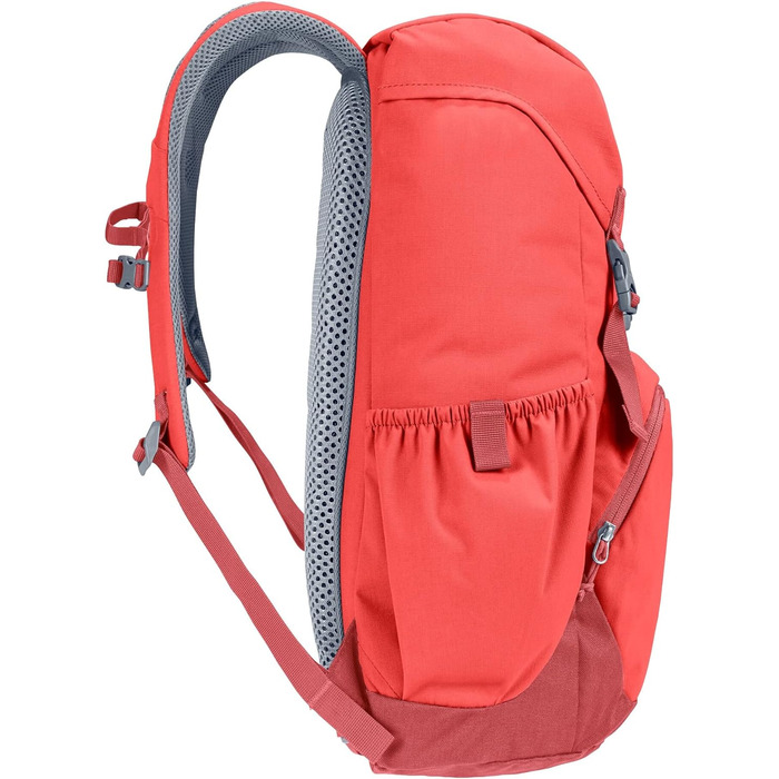 Довга смородина-секвоя, 20 Daypack 20