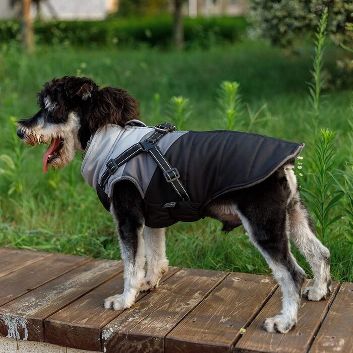 Пальто для собак avlot, зимове пальто для цуценят, зимове пальто для собак, пальто для собак, маленька куртка для цуценят, захисний одяг, світловідбиваючі водонепроникні пальто для собак (чорний сірий), чорний сірий (XL, Чорний сірий), чорний сірий (XL, Ч