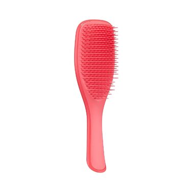 Щітка для вологого розплутування Tangle Teezer, щітка для волосся без висмикування для вологого та сухого волосся, щітка для масажу шкіри голови Wet Brush (рожевий пунш, звичайна)