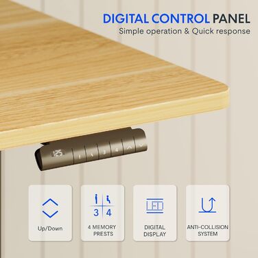 Електричний регульований стіл FLEXISPOT 120x80 см з подвійним мотором - ергономічний стоячий стіл для дому та офісу, 100 кг, тихий (<50 дБ), сірий + горіх