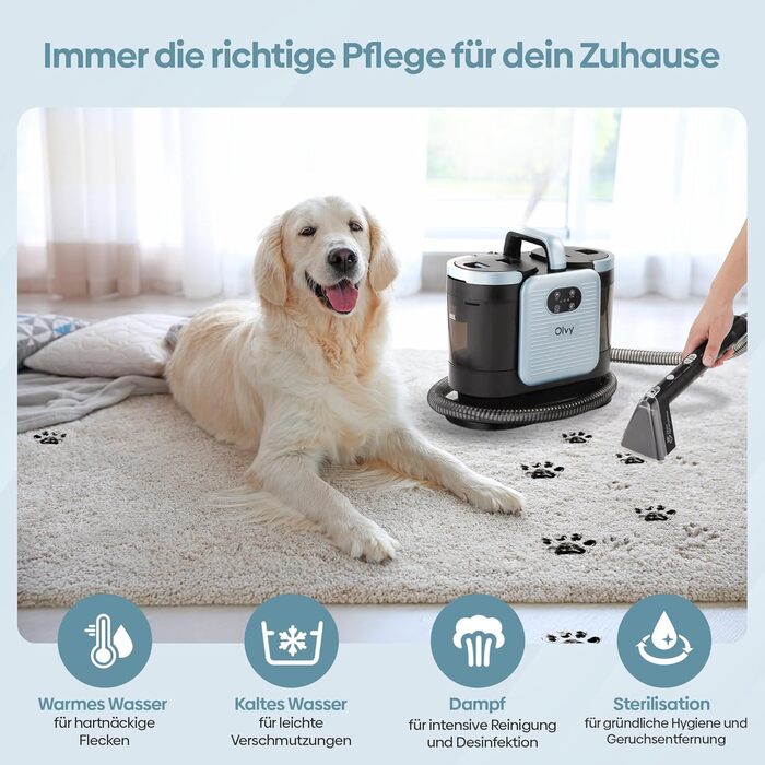 Olvy Teppichreiniger PRO: професійний пароочисник для килимів та м'яких меблів, 1650W. Включає миючий засіб. Підходить для чищення диванів, матраців та оббивки.