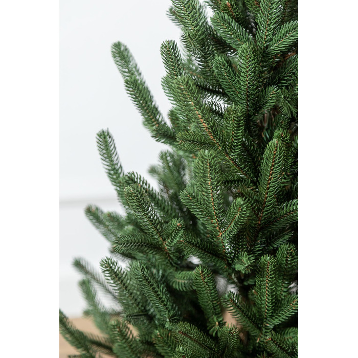 Ялинка лита 'Віденська' в горщику зелена 0,90м