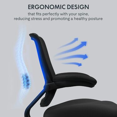 Крісло офісне ергономічне FLEXISPOT BIG MAX, чорне, 227 кг, регульовані підлокітники, для дому/офісу