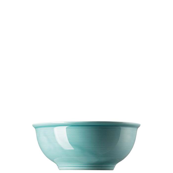 1,6 л Trend Colour Ice Blue Thomas Bowl