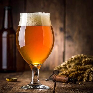 Набір келихів для пива Glasmark KROSNO 1992 Biertulpen 6 шт, 500 мл - для Pils, Stout, коктейлів, придатні для мийки в посудомийній машині