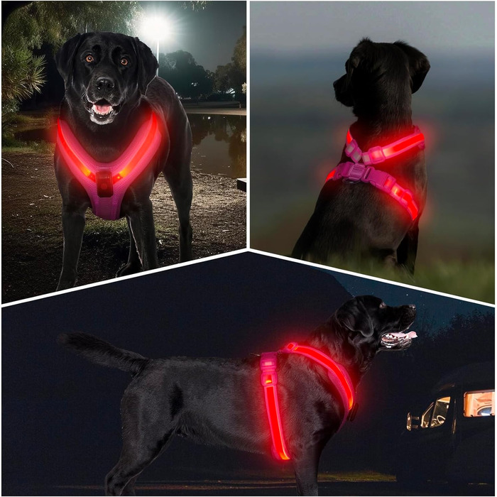 Світлодіодна шлейка для собак KOSKILL LED, акумуляторна, світиться в темряві, світловідбиваюча (M, рожево-червона)