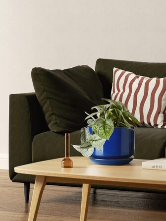 Набір керамічних горщиків LE TAUCI 3 шт. (11, 13, 17 см), горщики для кімнатних рослин з підставкою та дренажним отвором, реактивна глазур (бежевий, сапфіровий блакитний)