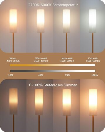 Торшер EDISHINE LED 165см, з регулюванням яскравості, з пультом дистанційного керування & E27, 3 колірні температури, золото