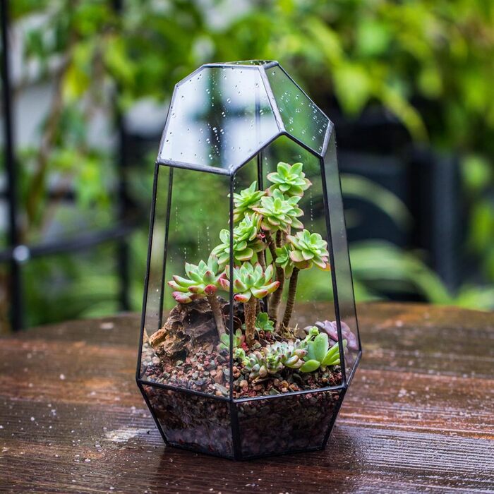 Скляне тераріум NCYP 16,5x16,5x25cm: геометричний дизайн, горщик для сукулентів та папоротей (без рослин)