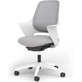 Ergotopia WellBack: Ергономічне крісло для офісу та дому, Made in Germany, з підтримкою попереку та синхро-механізмом, білий каркас, сірий колір