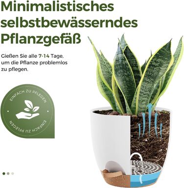 Набір горщиків для квітів Bamworld 6 шт. з автополивом, 12.7-20.3 см, з підставкою, для кімнатних рослин та розсади (білий)