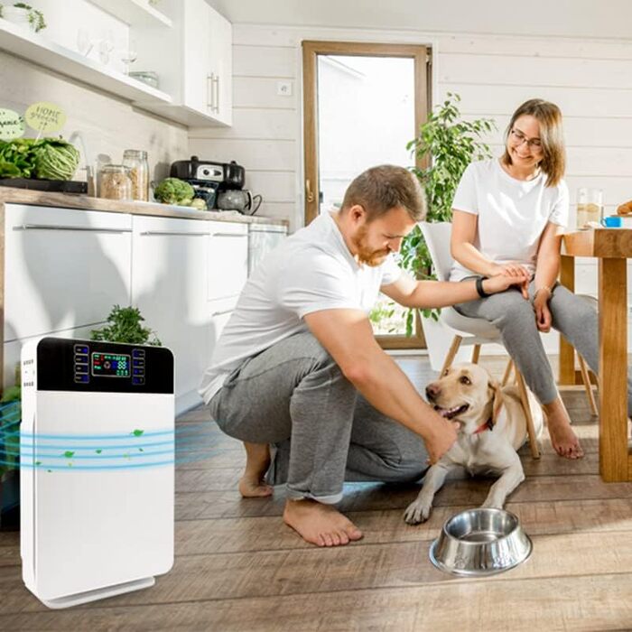 Повітряочисник Livington AirPurifier для кімнат до 30 м² – для алергіків, проти пилу, пилку та шерсті тварин, з автоматичним режимом та таймером