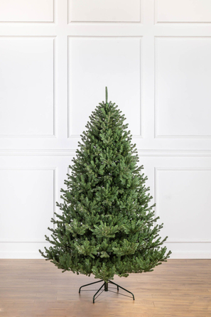 Ялинка лита 'Міланська' ПАРАСОЛЬКА ЗЕЛЕНА 2,30м