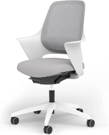 Ergotopia WellBack: Ергономічне крісло для офісу та дому, Made in Germany, з підтримкою попереку та синхро-механізмом, білий каркас, сірий колір