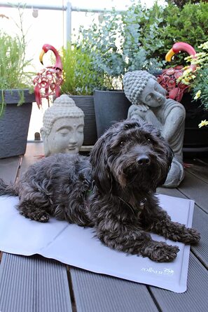 Зональний охолоджуючий килимок для великих собак, розміром близько 75x120 см, для сального охолодження, світло-сірий (S, світло-сірий)