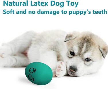 Пищать собачі м'ячі ТОНГКТАЙ, інтерактивні іграшки-пищалки з латексу з 8 предметів, м'які стрибаючі м'ячі для тварин у формі яйця для цуценят, м'яч у формі яйця для маленьких собак