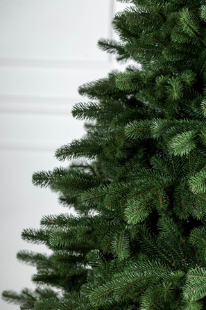 Ялинка лита 'Версальська' Зелена 1,80м