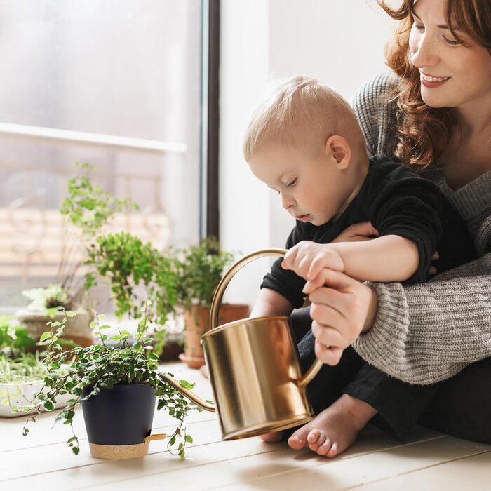 Набір горщиків для квітів 6 шт. з автополивом, 20.3-12.7 см, з підставкою, для дому та балкону, чорний/коричневий