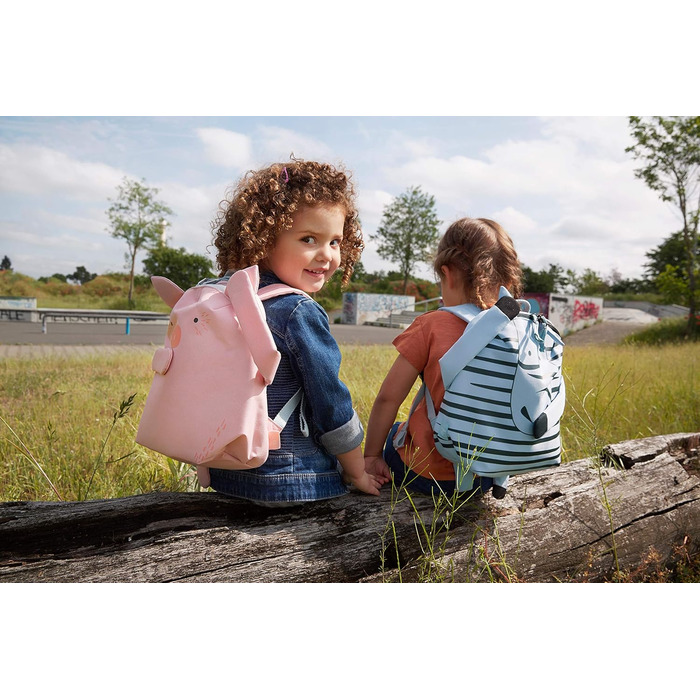 Дитячий рюкзак дитячий садок з нагрудним ременем від 3 років/Рюкзак Про друзів, 28 см, 3,5 л (Bo Pig, Pink)
