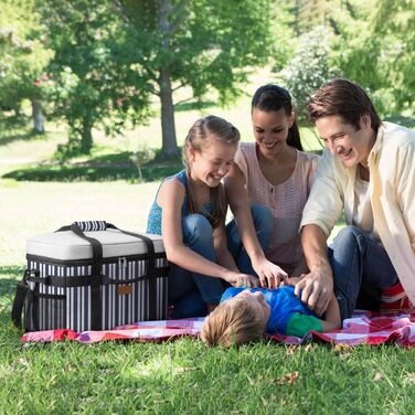 Термосумка-холодильник Lifewit 30л для пікніка, їжі та напоїв (Blaugrau Gestreift)