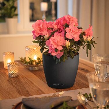 Горщик для квітів LECHUZA CLASSICO Color 21, сірий шифер, 22x22x20 см