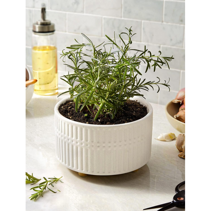 Набір горщиків для сукулентів LE TAUCI, 16,5+20 см, кераміка, для дому, з дренажними отворами, сучасний циліндричний дизайн, 2 шт. (білий)