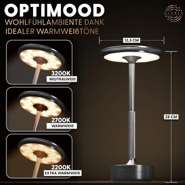 LED-лампа ELYSIA на акумуляторі: диммування, бездротове підключення, сенсорне керування, IP54, 2200-2700K, USB-C, для дому та саду, алюміній, срібло