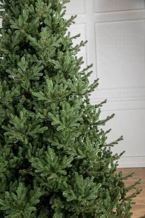 Ялинка лита 'Міланська' ПАРАСОЛЬКА ЗЕЛЕНА 1,80м