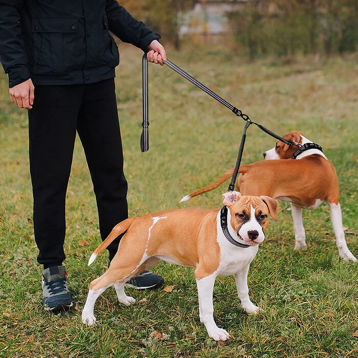 Повідець для собак KRUZ PET KZVX2-03L, без зав'язування, для 2 собак, великий, 2,5 х 48,3 см 1 х 19 '(Помаранчевий, середній 3/4 'х 17')