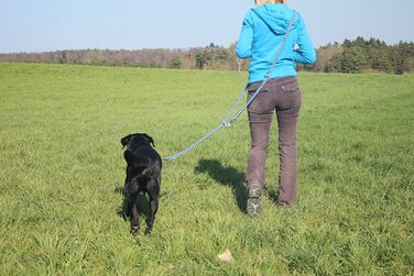 Плетений повідець для собак, мультицепь, Регульований в 4 рази, довжиною 2,80 м, круглий, діаметром 15 мм, для великих і великих собак, виготовлений в Німеччині (2,80 м, синьо-чорно-білий), 4Dogs